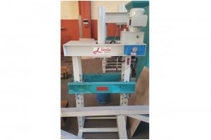 15 Ton Kollu Motorlu Hidrolik Atölye Presi  - Hydraulic Workshop